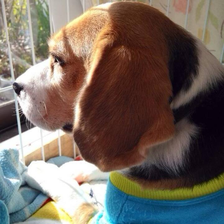 6333b030 74a3 491f 96b7 dd487f379643 1739059396166