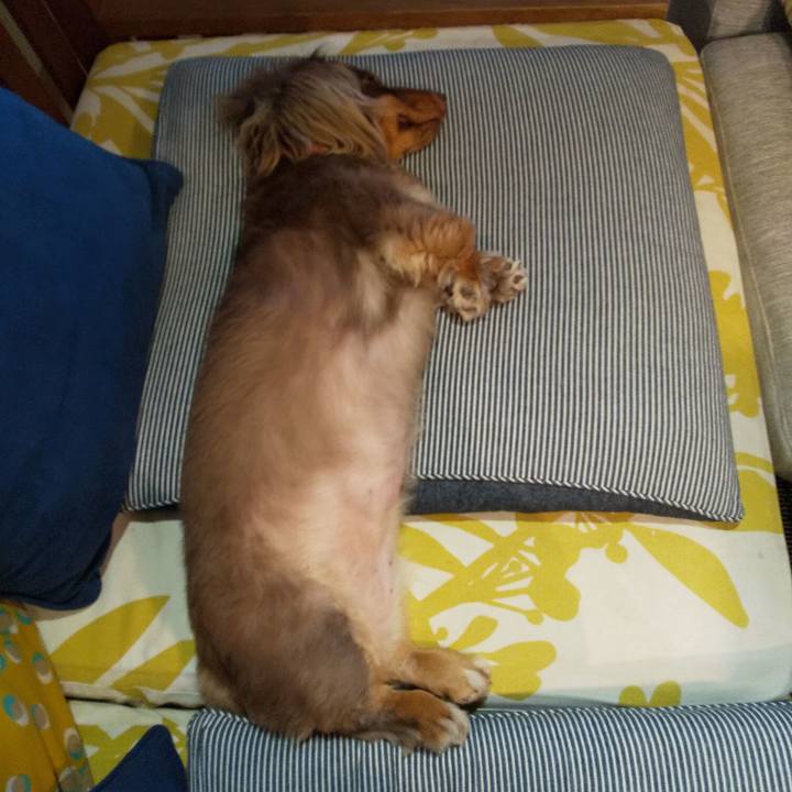 6333b06a 173b 43c6 88b2 ec8be7954260 1564735136000