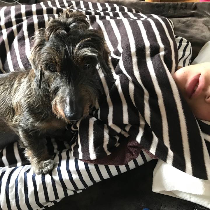 633429e6 1b56 45db 91c6 4a36df14e68a 1545268537572