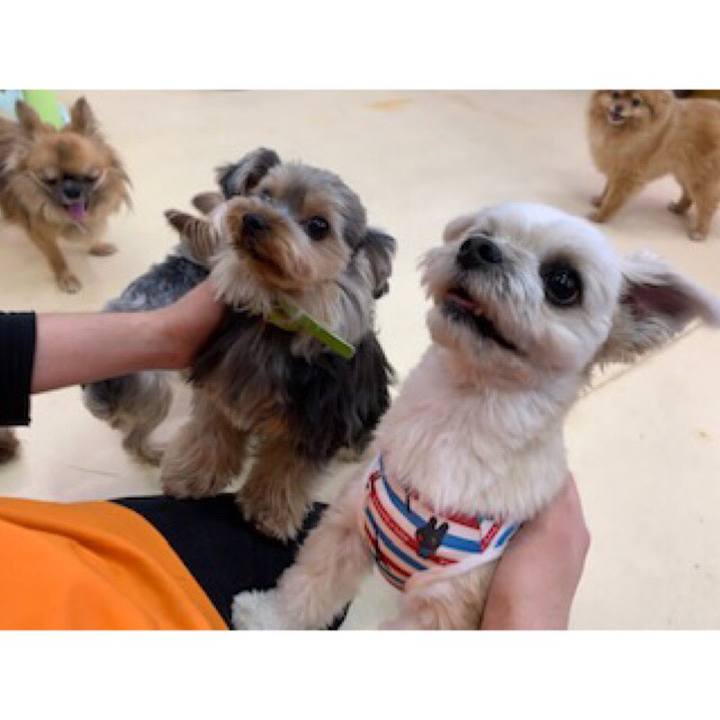 6334343b 48ce 4bb1 a939 8e9c3878268a 1558090760712