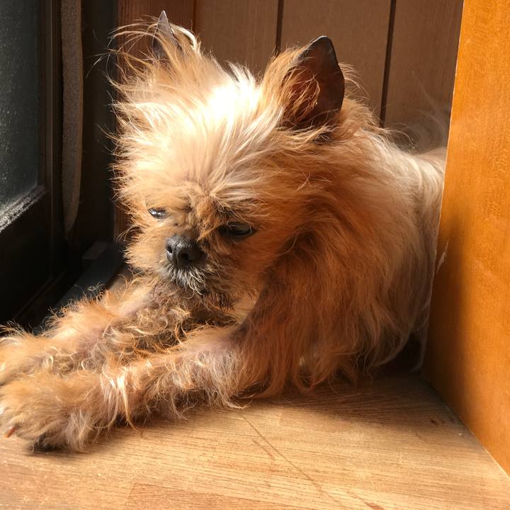 6334586c 8161 4b63 a8ee 7c5f5d37d4ad 1557963189371