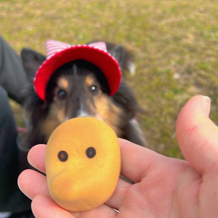 6334650e f685 4d12 a33d 6230206a7fb8 1707673409333