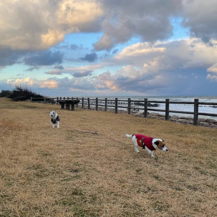 63346c57 1ca1 4019 9bb6 79fd65e36885 1733959781394