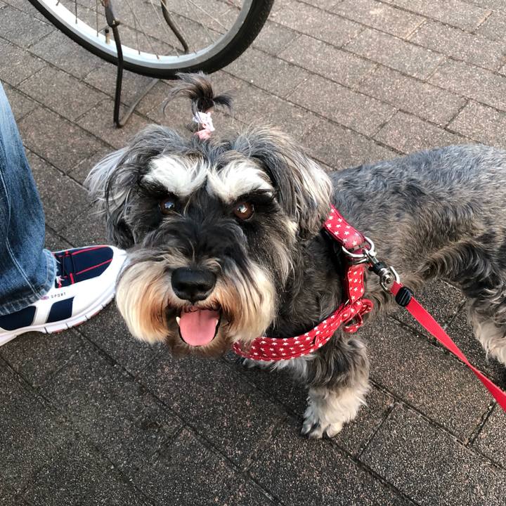 6334ad47 f438 4843 93a8 b0d0cc80b9f1 1559568603008