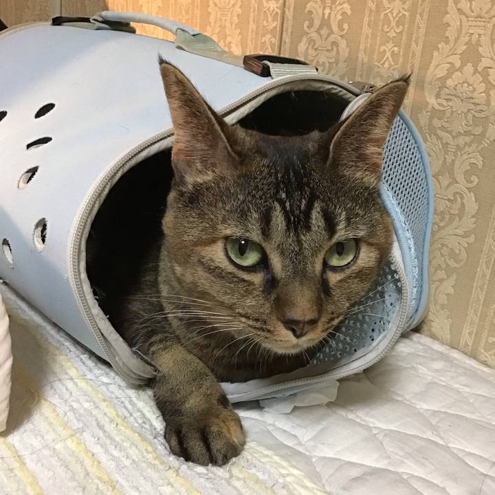 6334cbf3 cdba 4114 8056 0f5a99a5cdaa 1665839811579