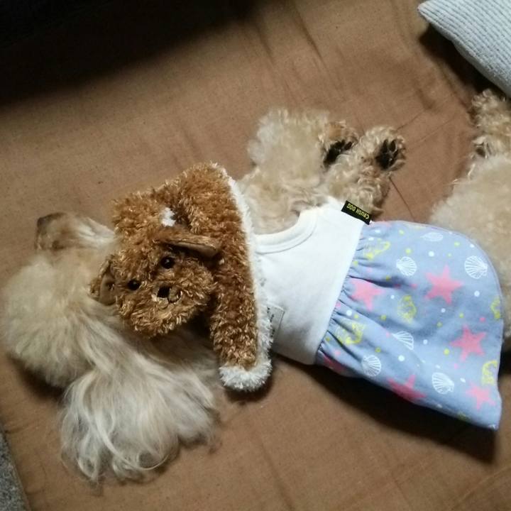 6334d267 962f 4928 bef0 004db77e1c6e 1536758571425