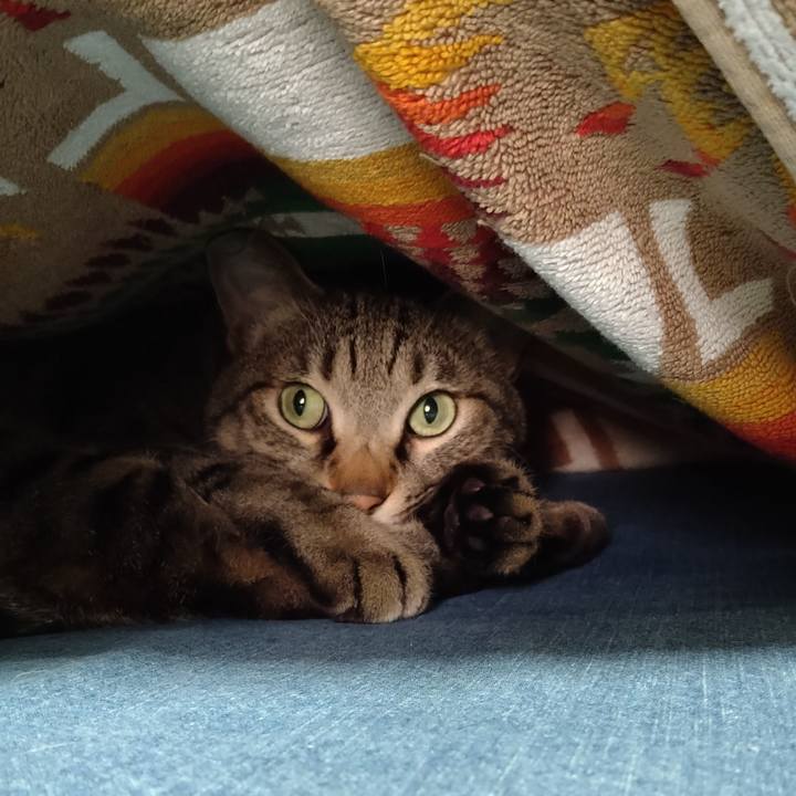 6334ed7a e9b2 4c52 9e75 872151e6c310 1652865876709