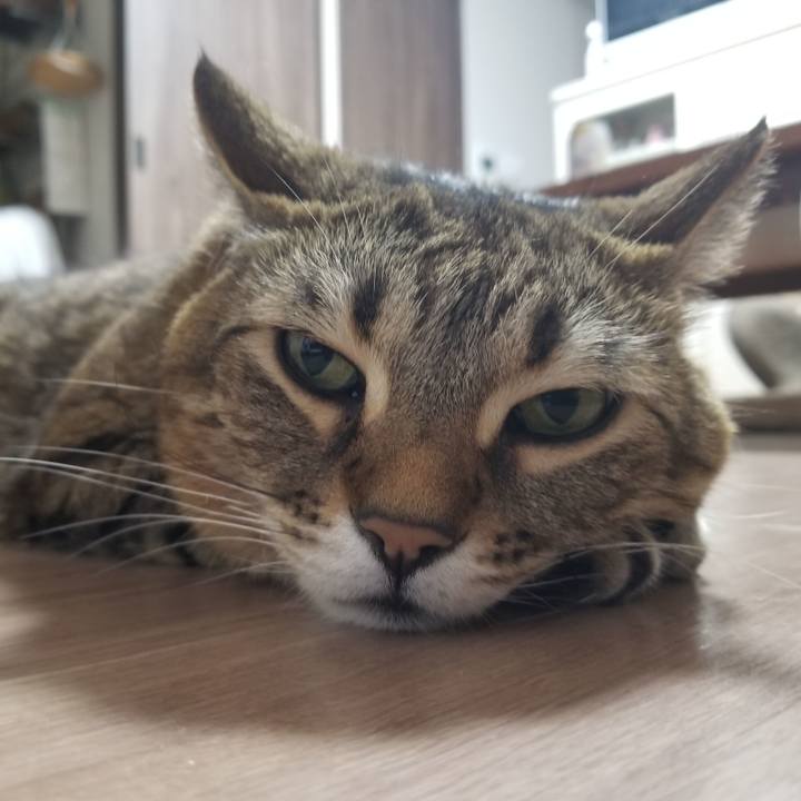 6335117d b041 46b8 a4d2 cd444c5e0986 1616409871864