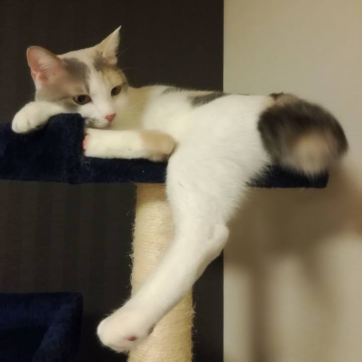 63351e67 d09d 4f1c 9907 efa66a5098ce 1516953344951