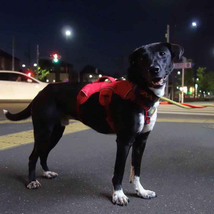 63351fa9 4db0 4263 8169 3c6ea18a35a4 1584873467618