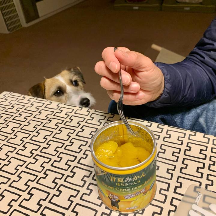 63353d71 46ed 416c 9f5c bace35428bdf 1619178215800