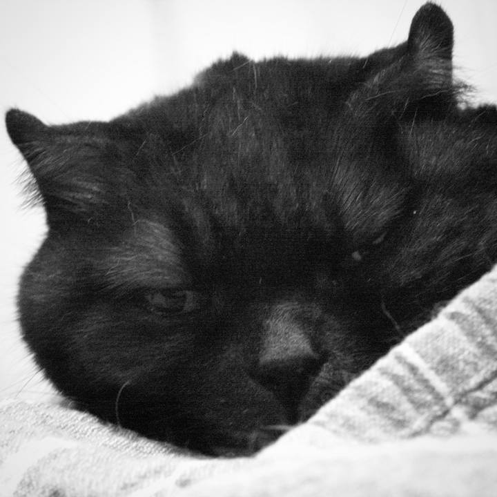 633551bc 80af 41dd 9cb2 3ab2b39b1036 1539963622399