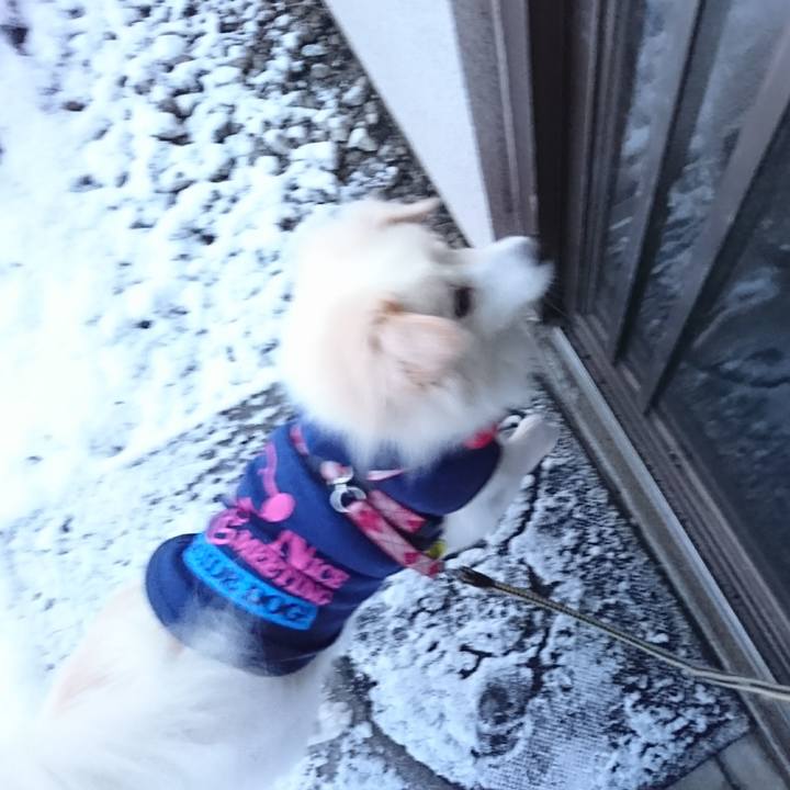 633556dd b724 40f6 873a a1820e808745 1514584152047