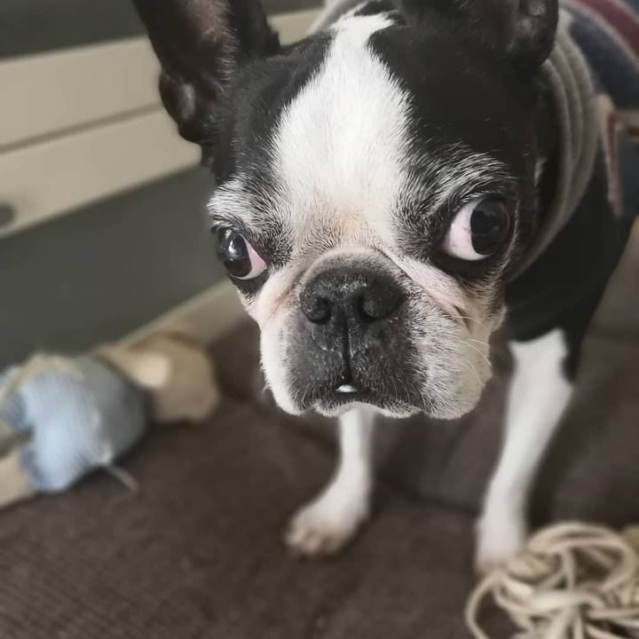 63355a28 d7bb 410a 8120 28c28ad0af61 1544155911382