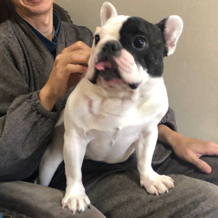 63359d12 64f2 40ba 9781 dccd2a54fb2a 1641121577351