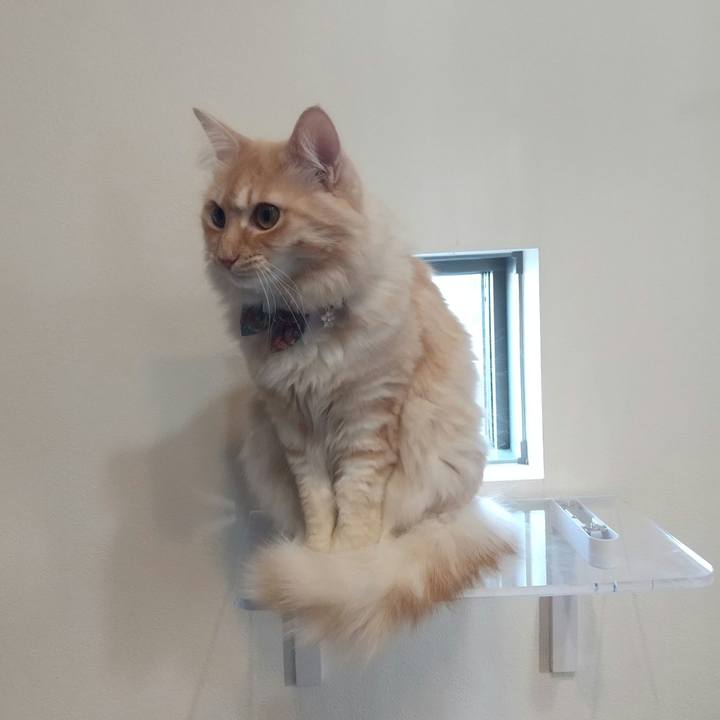 6335b7e1 0dd0 4007 8c51 9ce66371f0ec 1642491031639