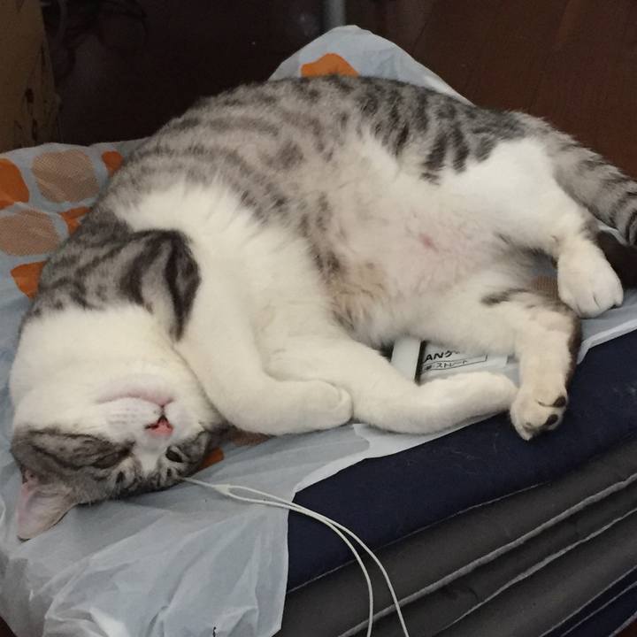 6335d3a8 7120 49e3 9811 4a45b0fa66ca 1531183966245