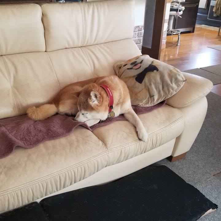 6335d57f 6031 46a3 a2a9 0686b650c4c2 1752633953961