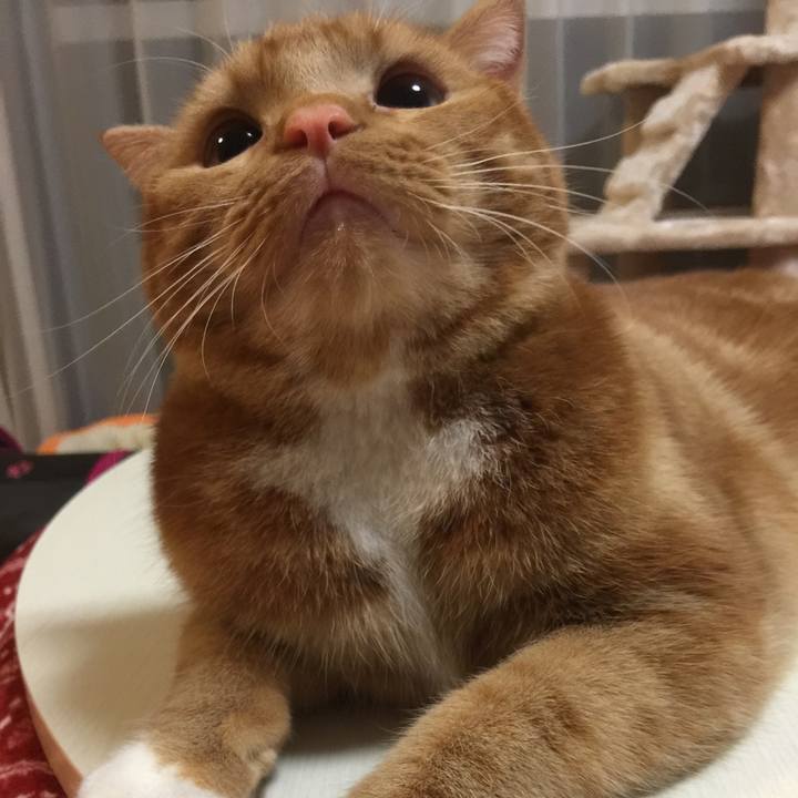 6335d773 c874 4369 ba29 a88dbd833039 1513345371528