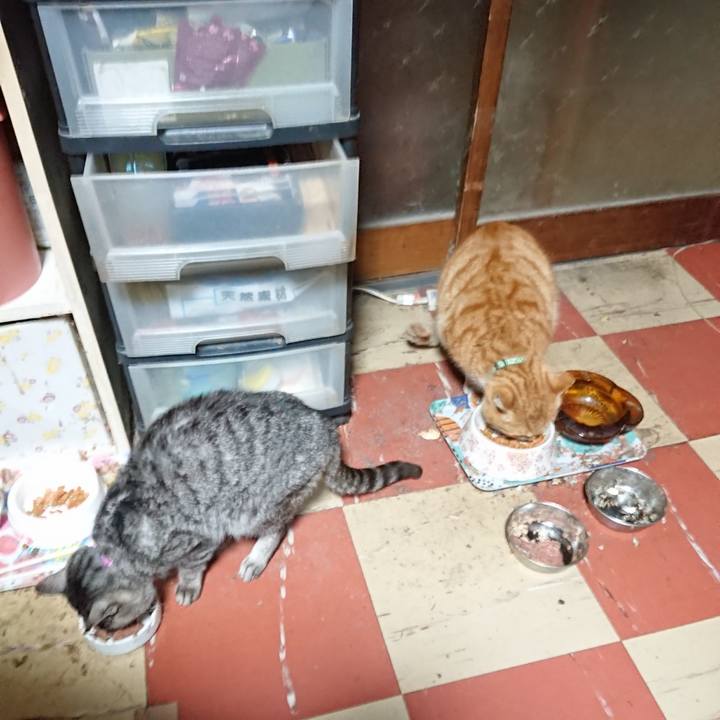 6335dd16 7832 4cc4 807a 7f5ffaec69bf 1581800896503