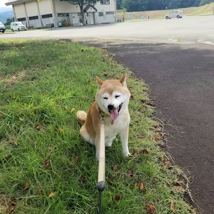 63361b30 f2e7 4c2b acb2 e1b0b05ca8b3 1693202549867