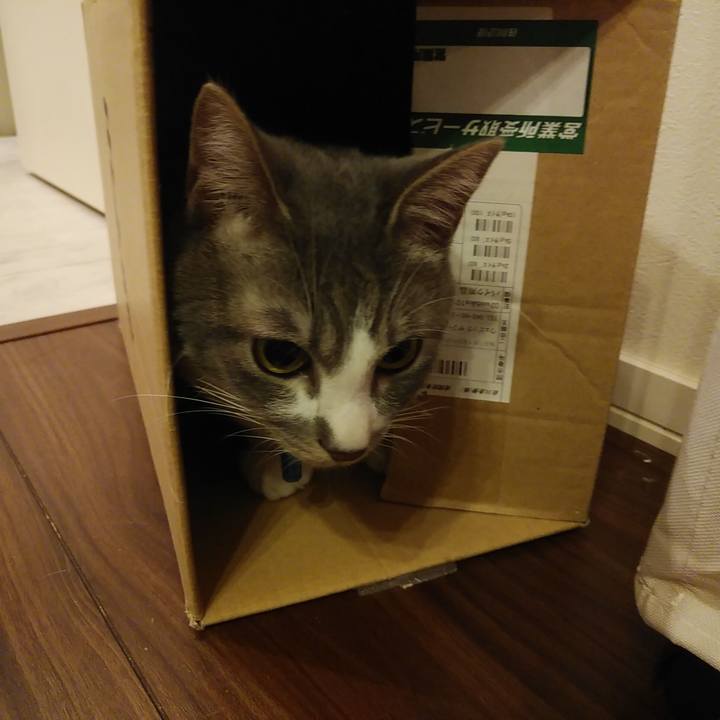 633644d9 5896 41c6 96dc 4eb72d71bf44 1589031898187