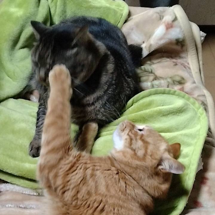 63364ee8 ebba 477e 9862 f3085206338b 1675075146232