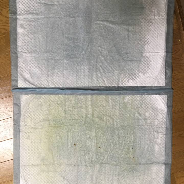 63365cd4 36f7 4662 befe 425b99b4b47a 1551129445188