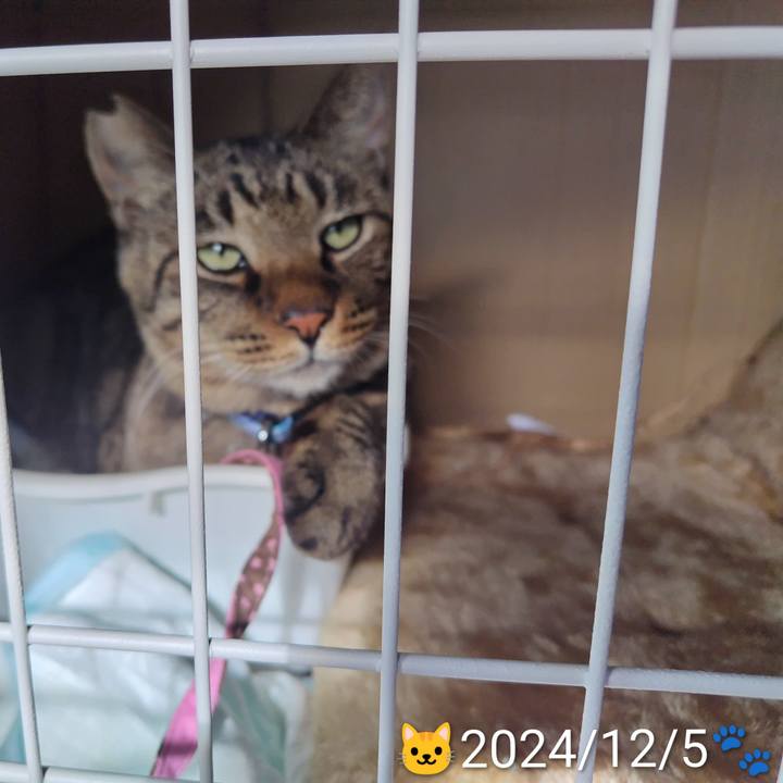 6336715b 3c8e 46a1 b9bd b5166202cb31 1766057732043