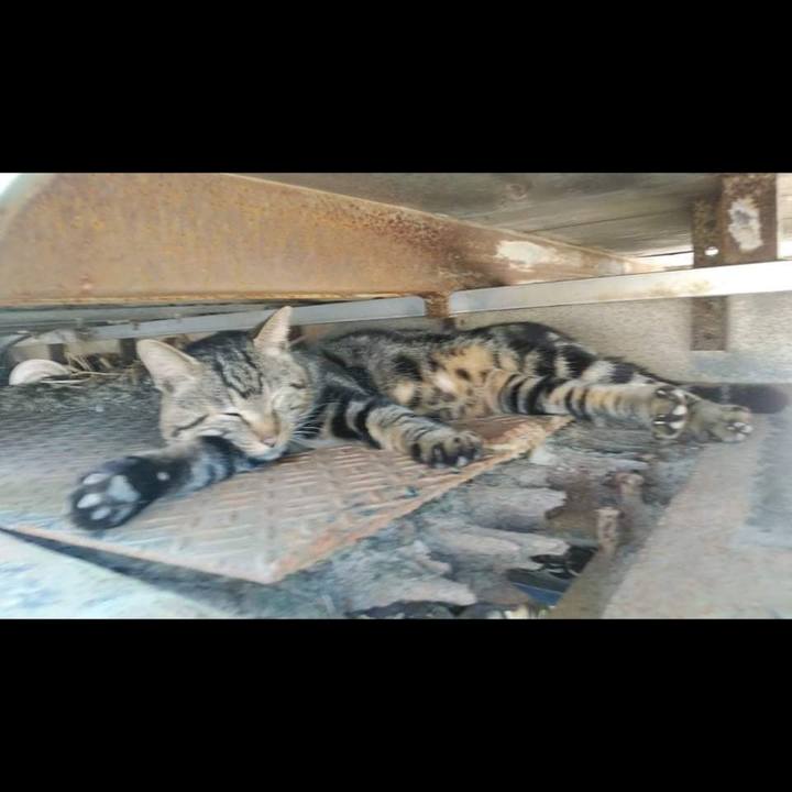 633683ab 4993 4c73 8bbd 4e8f5c44a7d5 1633652674980