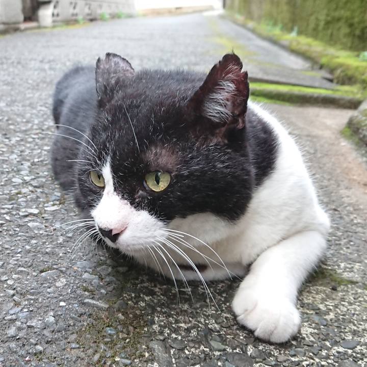 63369480 6a30 4c2c 89d5 dd819ff2f410 1628496346340