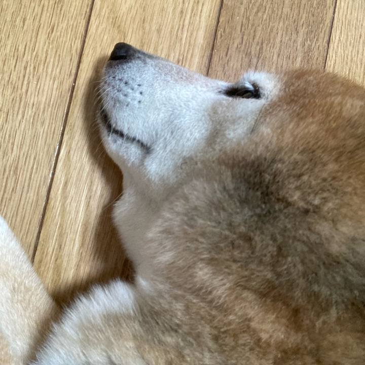 63369dbb 1385 4ed6 9144 83d48e9a9492 1726377724027