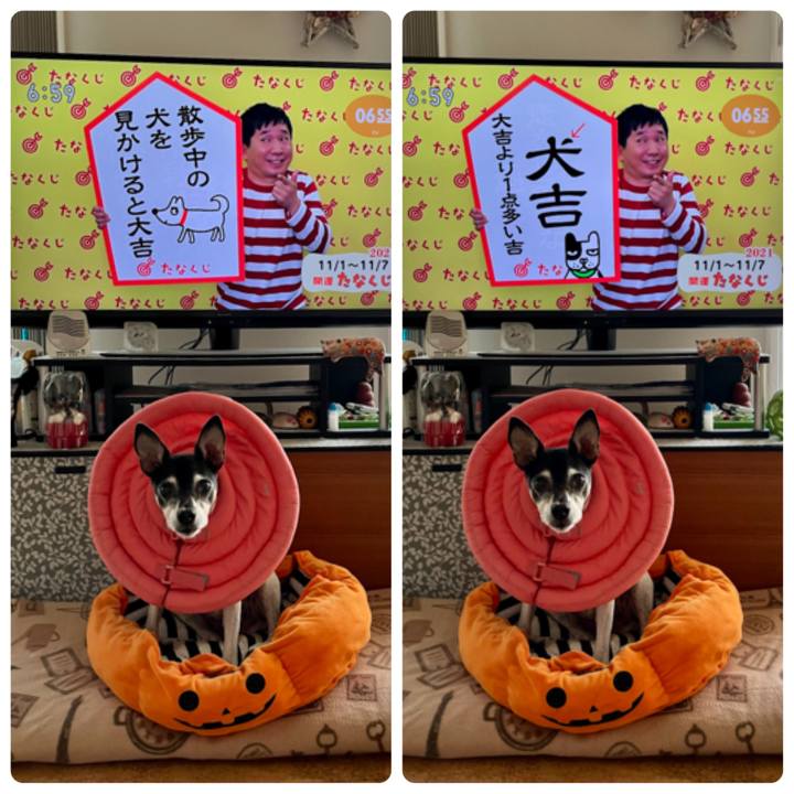 63369e8e bb71 490e acef 923e55e843b4 1635718283624