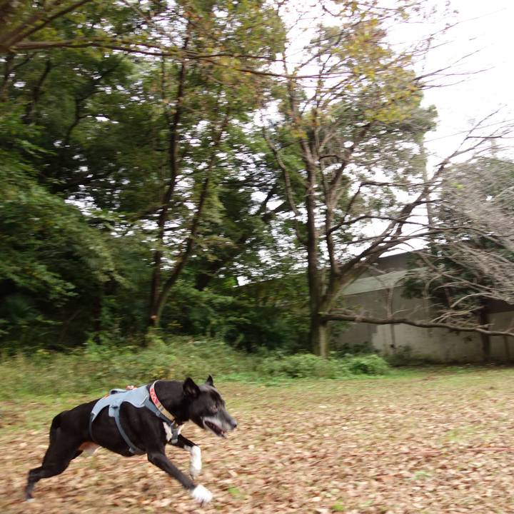 6336a2f4 8471 4861 a837 14b511a2bbb9 1729992082690