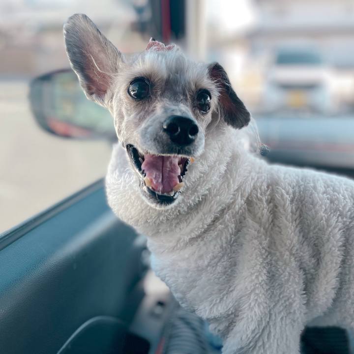 6336b7aa f264 42f4 96d8 e7a089ac3bdc 1768197981126