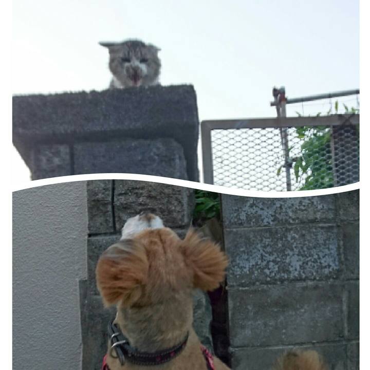 6336ce49 56b1 420f ba2a 3d30fa4c9c9b 1526294415976