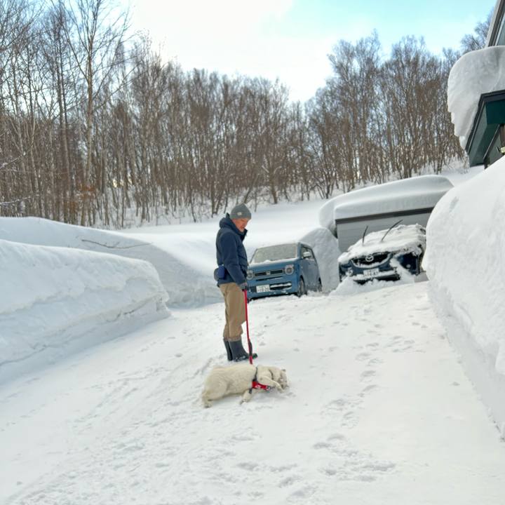 63372edf fb04 4409 bf73 edee738150df 1707691464646