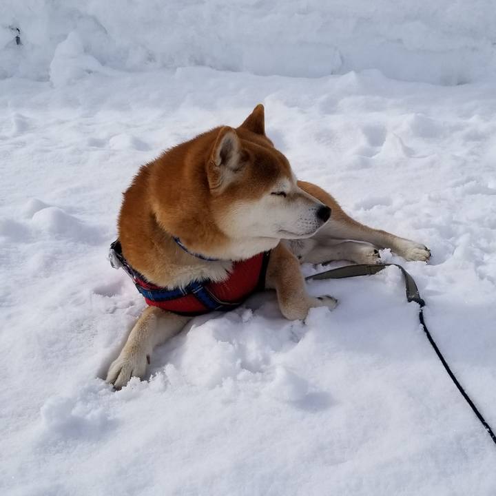 633760e5 db75 45a6 83da 908c4b1c0e98 1547784018072