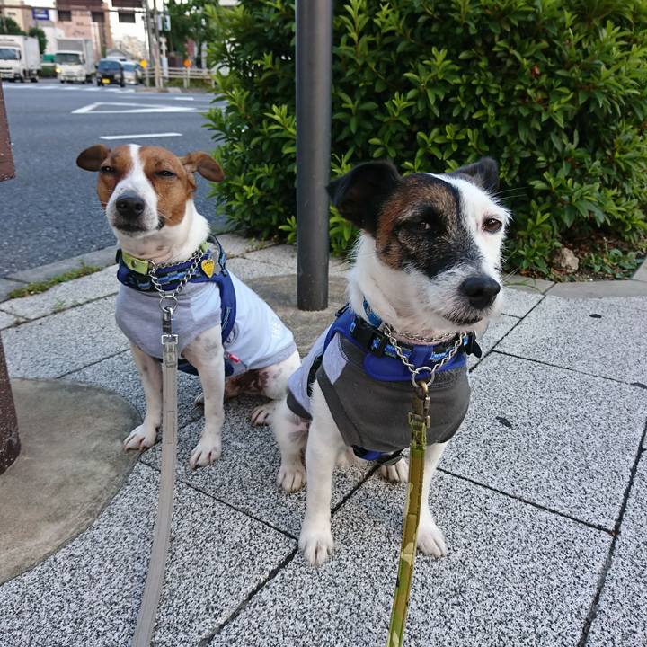 63379ef5 979b 4954 8032 177dd631e884 1560808978875