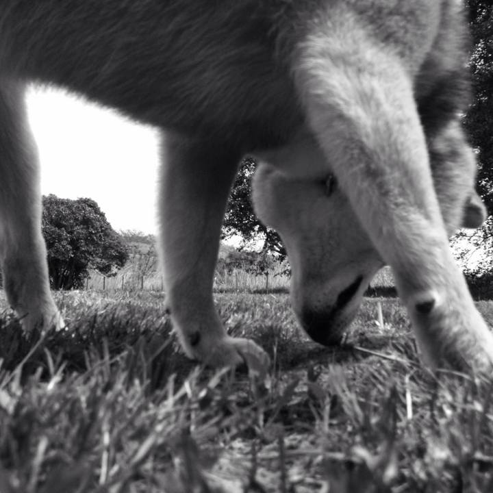 6337c2bf f274 441b a5ee b71e2af70784 1524019696717