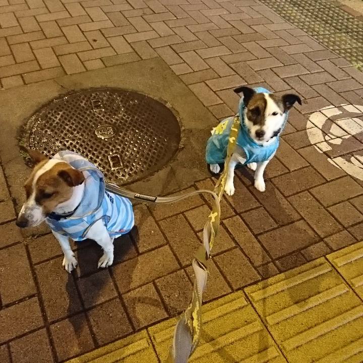 6337e579 573c 4488 b5e4 5ae80b311402 1528630925184