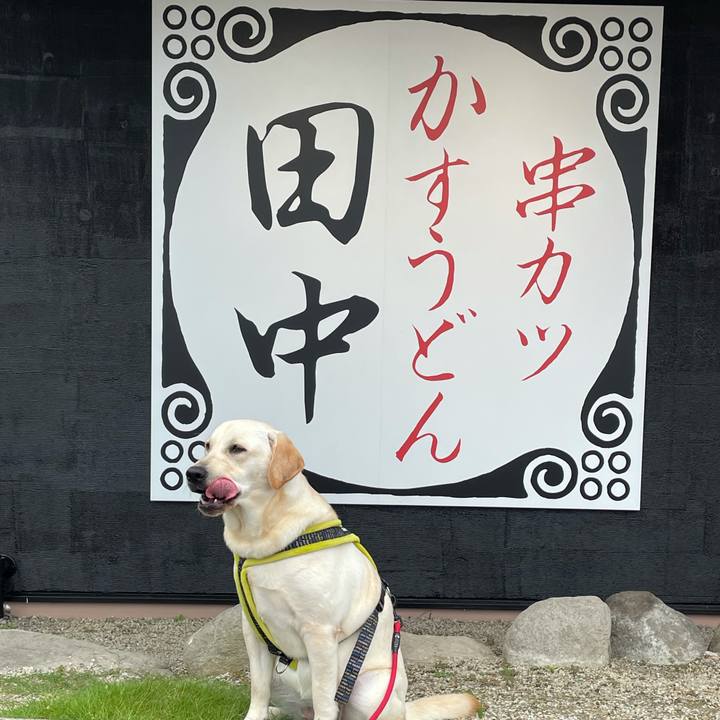 6337f0eb 0217 4e0c b464 f4cc5d4be444 1632820412724