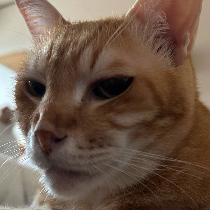 6337f55c e3f3 4ba2 99e8 eb78490a26ed 1685047367797