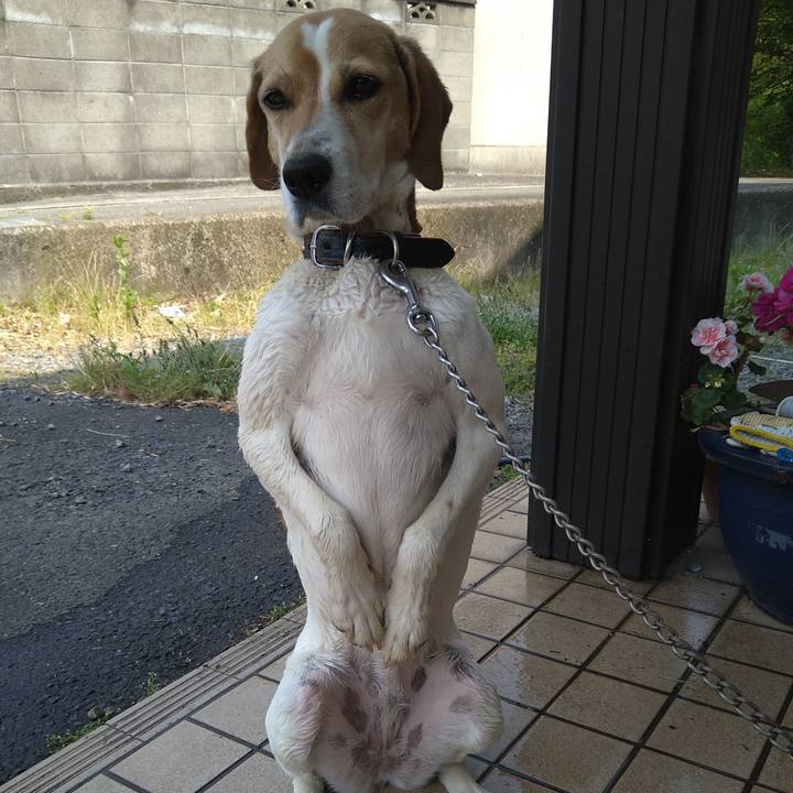 63383204 1daa 40ac a4a7 15c3b19e931e 1653472582081