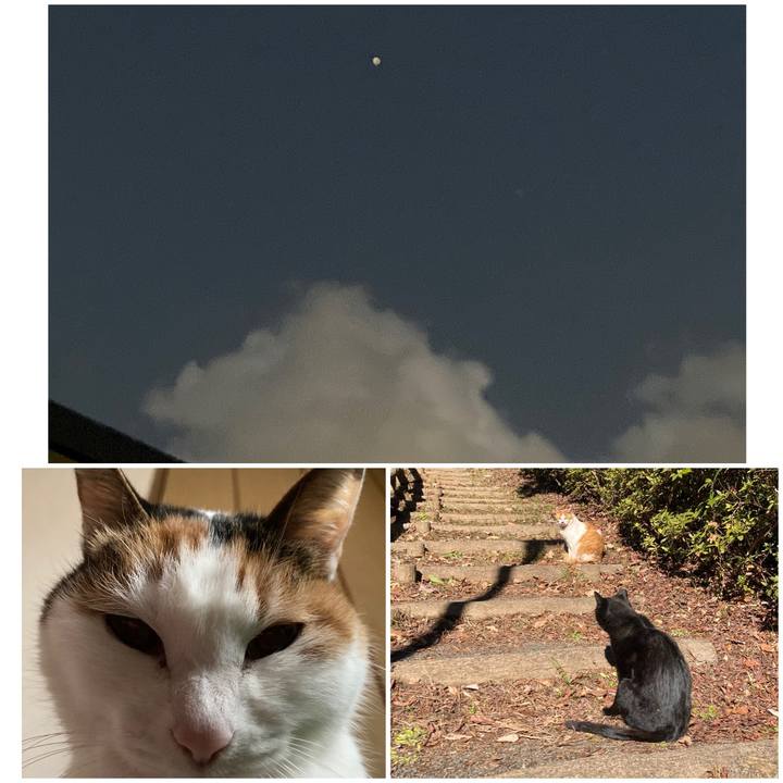 633873d2 5c08 43a7 b1e0 a9afa23f0087 1612692919022