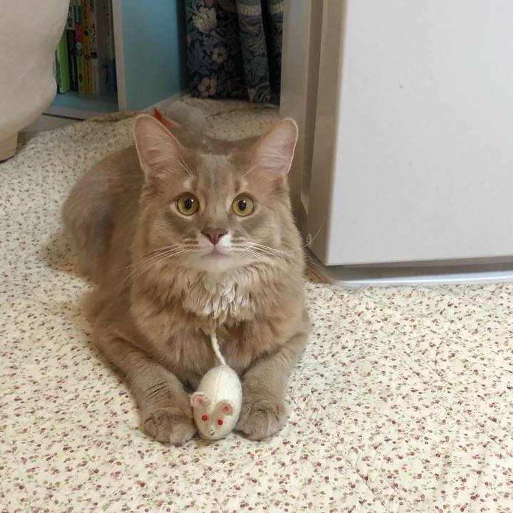 63387570 6345 41dd bff3 40fcdc3f87aa 1577237128023