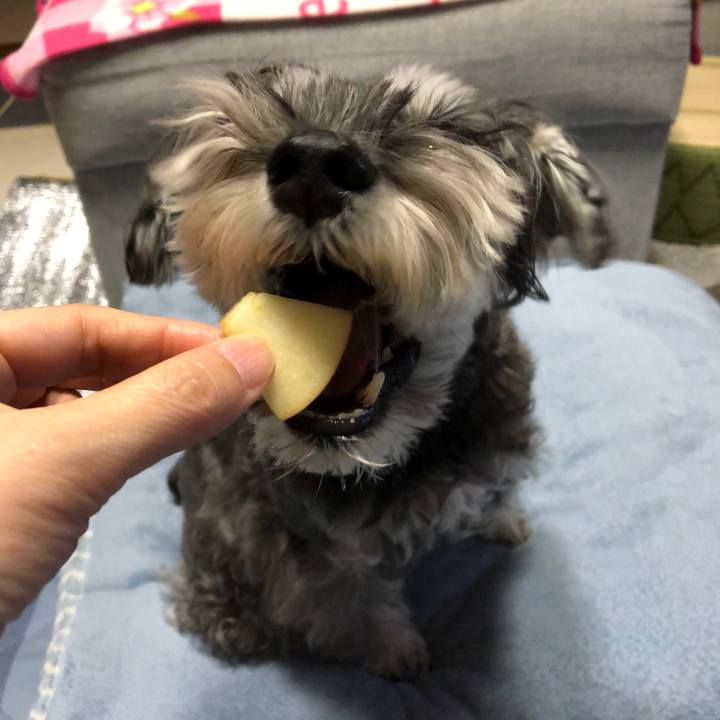 6338a892 383c 4596 9a79 042cbec69948 1698842213251