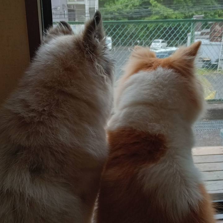 63391a94 3f23 48a2 a27e 8340695f2eb1 1685357753151