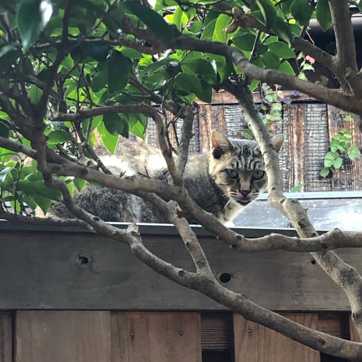 63393b07 8f53 4f75 9ebb ffc5ab7d1ba2 1699170067257