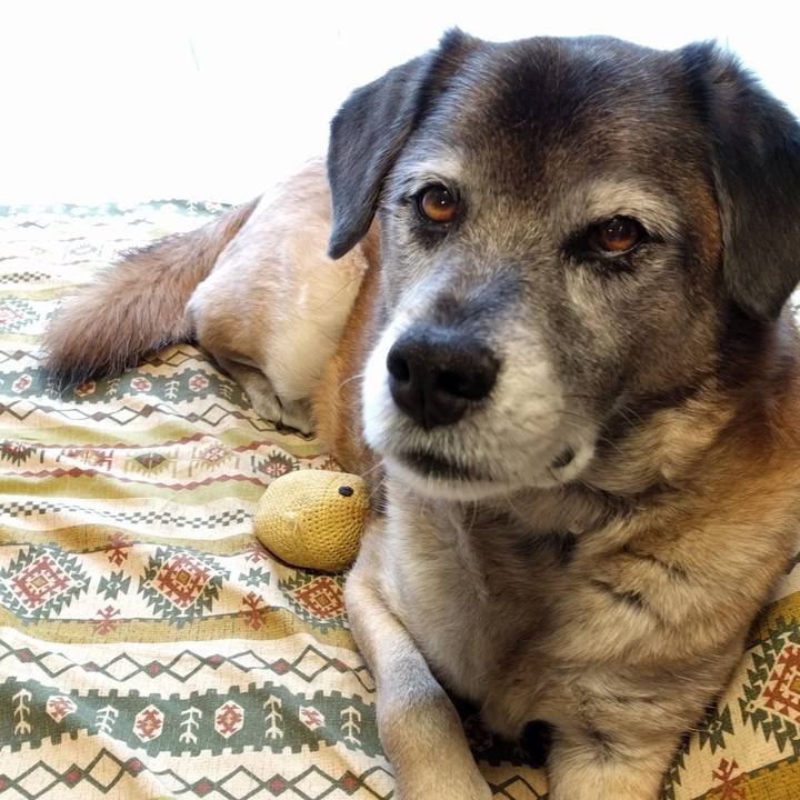 6339410a fd5b 4670 bbcb 35fe0f9ef3cd 1577846085001